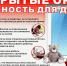 001-2026-05-07-szn.jpg - Ozersk74.Ru
