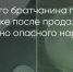 Поделитья во ВКонтакте - Братская Студия Телевидения