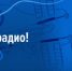 С Днём радио! - Законодательное Собрание