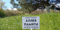В Греково-Ульяновке высадили именные берёзы в память о погибших земляках - Газета Родионово-Несветайский вестник