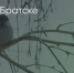 Поделитья во ВКонтакте - Братская Студия Телевидения