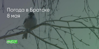 Поделитья во ВКонтакте - Братская Студия Телевидения