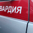 По сигналу «тревога» росгвардейцы в Томской области задержали мужчину, находившегося в розыске - Росгвардия