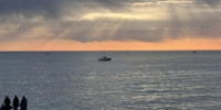 ПВО сбила 347 дронов над тремя морями, Кубанью и другими регионами РФ - KrasnodarMedia