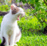 3736 - News102.Ru