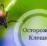 Как защитить себя от клещей - Нижнеломовский район