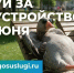 image (1).jpg - Славянское городское поселение
