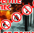 Берегите лес от пожара! - Город Нерюнгри