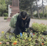 Около 30 тысяч единиц цветочной рассады уже высадили в парках и скверах города - Администрация города