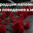 Полиция Нижегородской области напоминает правила поведения в местах памяти - Пильнинский муниципальный округ