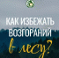 Как избежать лесных пожаров - Бирский район