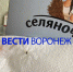 Воронежские санврачи связались с брендом «Селяночка» после обнаружения в рисе личинок - ГТРК Воронеж