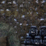 image - GazetaRB.Ru