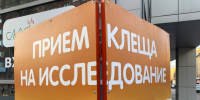 клещи - Новый Компаньон