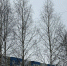 Внимание: опасные явления погоды - Газета Варта