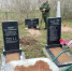 В апреле на субботники вышли более 200 тысяч жителей Ленобласти - Администрация ЛенОбласти
