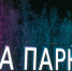 Фото: Фёдор Воронов / «Ямал-Медиа» - Красный Север