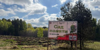 Губернатор Алтайского края Виктор Томенко принял участие в патриотической акции «Сад памяти» - Минприроды Алтайского края