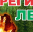 Экстренное предупреждение на 08.05.2026 г. (высокая пожарная опасность) - Сабинский район