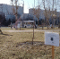 В Тобольске началась противоклещевая обработка территорий - TobGorod.Ru