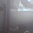 img - ЛДПР