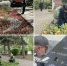 Глава Астрахани попросил уважать труд озеленителей и не воровать рассаду - Bloknot-Astrakhan.Ru