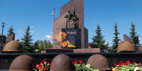 BushPhoto_05.05.2026_1_005 - ЗА Новомосковск