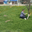 Благоустройство поселений Городищенского района продолжается - Городищенский район