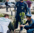 Волгоградские сотрудники МЧС присоединились к акции «Сад памяти» - Газета Вечерний Волгоград