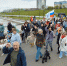 23 мая в Чебоксарах пройдет  IV ежегодный «Парад собак» - Ветеринарная служба