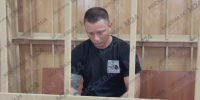 Сбивший актрису Добромилову мотоциклист признал вину - M24.Ru