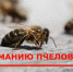 Новости округа - Город Талдом