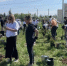 «Единая Россия» приняла участие в экологической акции «Сад Памяти» - Рузский городской округ