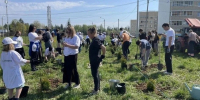 «Единая Россия» приняла участие в экологической акции «Сад Памяти» - Рузский городской округ