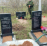 Более 200 тысяч ленинградцев в апреле приняли участие в субботниках - ЛенТВ24