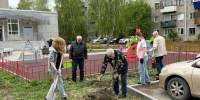 Дерево Победы - ТОС Омска