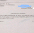 В Волжском возник конфликт вокруг деревьев: жители и УК по-разному видят проблему - Блокнот Волжского