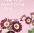 Изображение: организаторы - InformPskov.Ru
