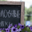 В Воронежской области 8 мая ожидается жара до +31 градуса - РИА Воронеж