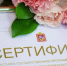В Подмосковье жители подали 659 заявлений на получение жилищного сертификата - Министерство строительного комплекса МО