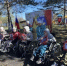В подведомственных учреждениях министерства социальной защиты края проходят праздничные мероприятия, посвящённые 81-летию Великой Победы. - Министерство соцзащиты