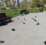 Фото СарБК - ИА СаратовБизнесКонсалтинг