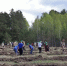 IMG_20260508_082557.png - Управление промышленности