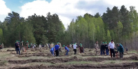 IMG_20260508_082557.png - Управление промышленности