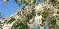 Рабочий день 8 мая в Башкирии будет сокращенным - Башинформ