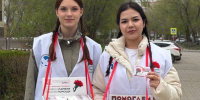 Как «Волонтеры Победы» готовятся к 81-й годовщине Победы - Газета Волга