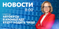 Новости Петербурга к 8:00 - tvspb.ru - ТК Санкт-Петербург