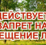 Ограничение пребывания граждан в лесах - Тайшетский район