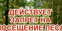 Ограничение пребывания граждан в лесах - Тайшетский район