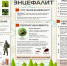 Об эпидситуации по клещевым инфекциям, о мерах профилактики. - Нагорский муниципальный район